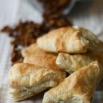 sienipasteijat