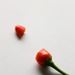 chili