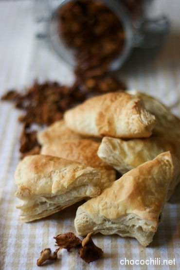 sienipasteijat