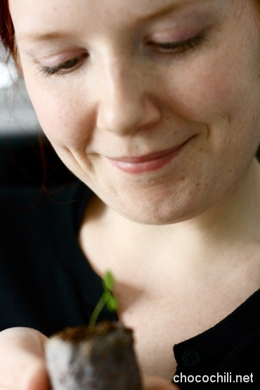 persilja