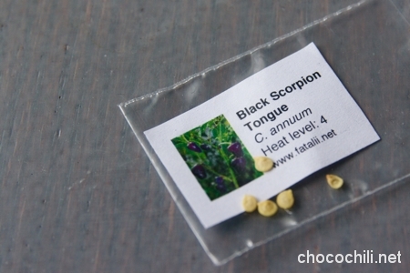 black scorpion tongue