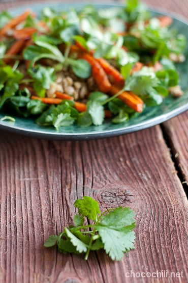 porkkana-linssisalaatti2