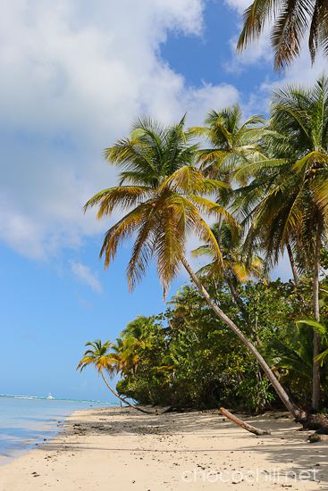 tobago