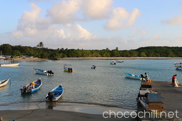 tobago15