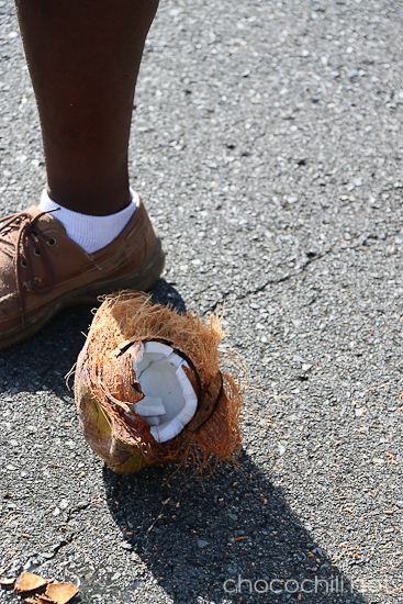 tobago5